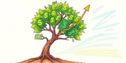 Grow Your Dividends: DRIP Strategy Optimizers